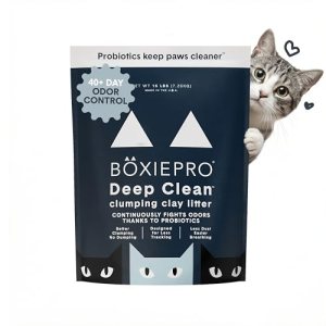 Boxie Probiotic Cat Litter, 40 Day Odor Control