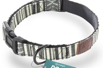 Embark Adventure Large Dog Collar – Stylish