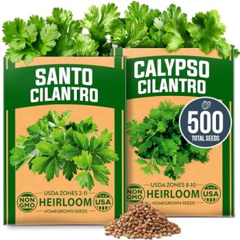 HOME GROWN Cilantro Seeds 250 Calypso & 250 Santo Cilantro for Planting Indoors