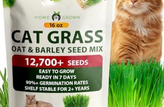 HOME GROWN Non GMO 1 Pound Cat Grass 12
