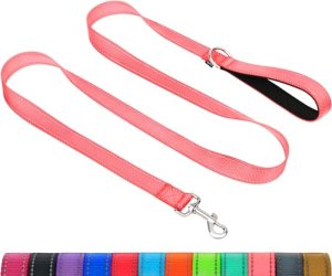 Taglory Dog Leash for Medium Large Dogs