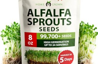 HOME GROWN Alfalfa Sprout Seeds 8 oz Bulk Heirloom Non-GMO