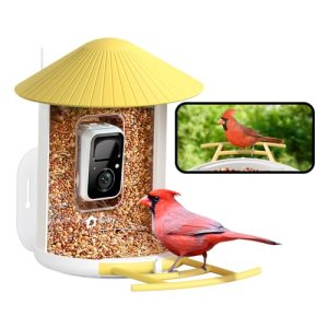 NETVUE by Birdfy Smart Bird Feeder with AI Camera