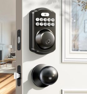 Veise Keyless Entry Door Lock with 2 Knobs