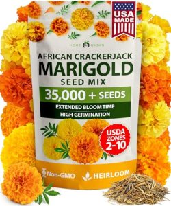 HOME GROWN Crackerjack Marigold Seeds | 4 oz / 35