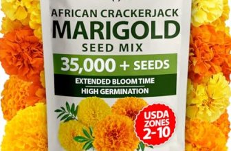 HOME GROWN Crackerjack Marigold Seeds | 4 oz / 35