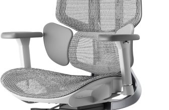 Ergonomic Office Chair