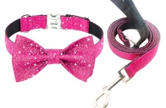 Jumpress Bling Bow Tie Dog Collar and Leash Set
