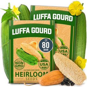 HOME GROWN Luffa Seeds 80+ Heirloom Non-GMO Loofah Gourd Seeds for Planting