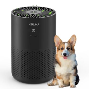 Air Purifiers for Home Bedroom,KQLKJ H13 True HEPA Air Purifier with Fragrance S