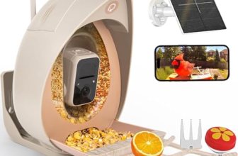 Bird Feeder with Camera Solar Powered
