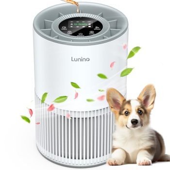 Air Purifiers for Home Large Room up to 1200ft²