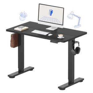FLEXISPOT Standing Desk Electric Height Adjustable Desk with 40 x 24 Inch Splice