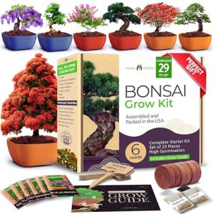 HOME GROWN Bonsai Tree Kit – 6 Heirloom Varieties with Unique Pots