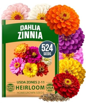 HOME GROWN Zinnia Dahlia Seeds Pack for 2026 Non GMO 524 Flower Seeds
