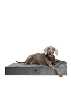 NOAH & PAW XL Dog Bed, 45x35x9.1 Inch