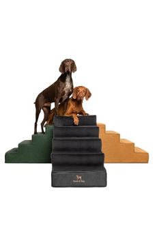 Noah & Paw Dog Stairs, Dog Ramp for Bed (20″ Extra Wide) Pet Stairs for High Bed