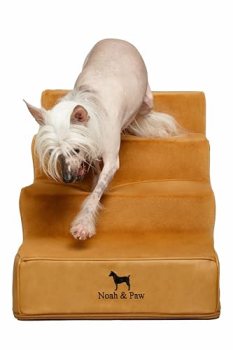Noah & Paw Dog Stairs, Dog Ramp for Bed (17″ Extra Wide) Pet Stairs for High Bed