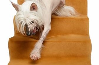 Noah & Paw Dog Stairs, Dog Ramp for Bed (17″ Extra Wide) Pet Stairs for High Bed