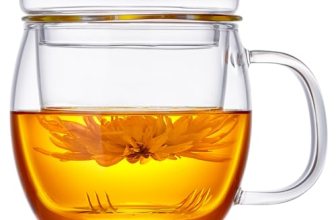 DOPUDO Glass Tea Cup with Infuser and Lid