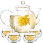 Wlasss Glass Teapot Set with 4 Teacups