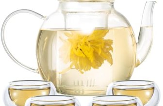 Wlasss Glass Teapot Set with 4 Teacups