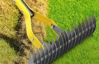 Dual-Action Thatch Rake for Lawn