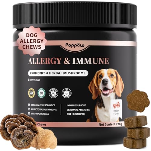 Dog Allergy Chews – Paw Licking