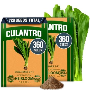 HOME GROWN Culantro Seeds – 720+ Heirloom Herb Seeds for Planting