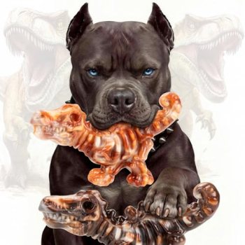 ChienBox DinoBone Tough Dog Chew Toys for Aggressive Chewers