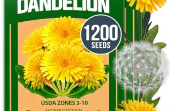 HOME GROWN Dandelion Seeds for Planting