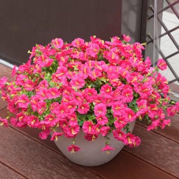maxkes Artificial Flowers for Outdoors