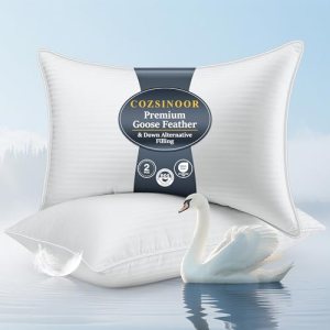 COZSINOOR Goose Down Feather Pillows Queen Size Set of 2