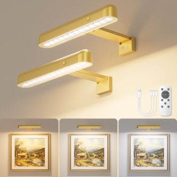VOLISUN Picture Lights for Wall