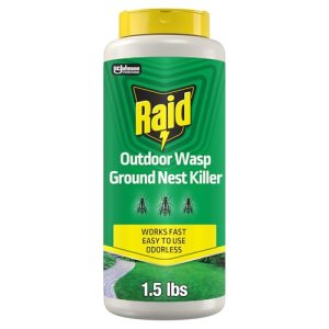 Raid Outdoor Wasp Ground Nest Killer