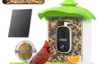 Bird Feeder with Camera,AI Identify Birds Species