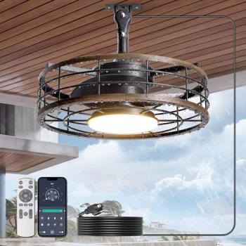 Phylluz Outdoor Ceiling Fan with Lights