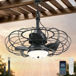 AHAWILL 20″ Black Outdoor Ceiling Fan with Light and Remote/APP