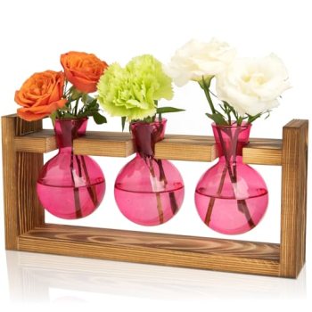 XXXFLOWER Glass Plant Terrarium Propagation Station