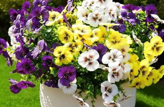 Fanfantoey Artificial Flowers for Outdoors