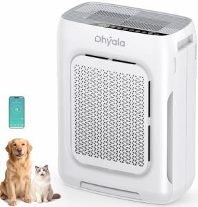 Air Purifier for Home Large Room up to 3000Ft²