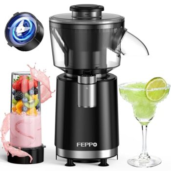 FEPPO Snow Cone Machine & Smoothie Blender 2 in 1