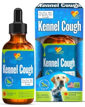 Dog Coughing Treatment Helps with Allergies