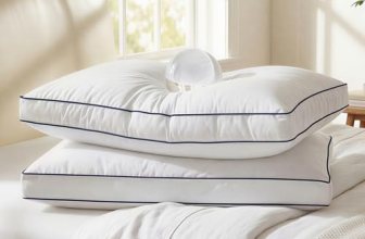 zibroges Down Pillows Queen Size Set of 2