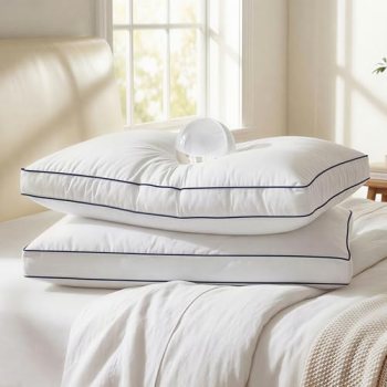 zibroges Down Pillows Queen Size Set of 2