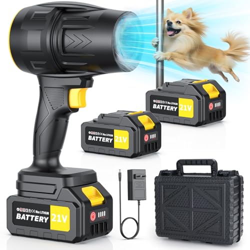 Cordless Leaf Blower (550 CFM, 2 Batteries)