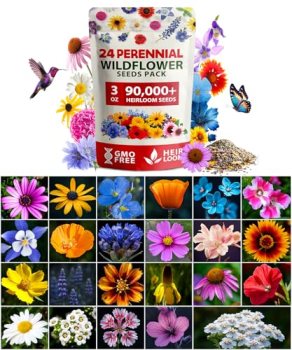 HOME GROWN Wildflower Seeds Bulk Mix | 90