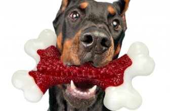 Kseroo Tough Dog Toys for Aggressive Chewers: Beef Flavored Hard Nylon Bones