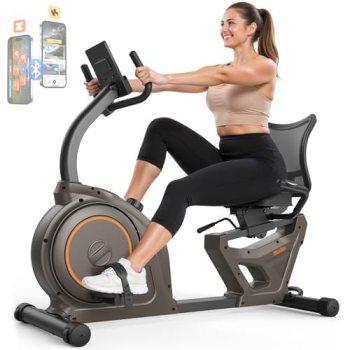 Niceday Recumbent Exercise Bike