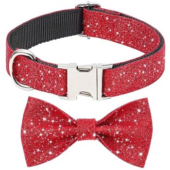 Jumpress Red Dog Collar with Bow